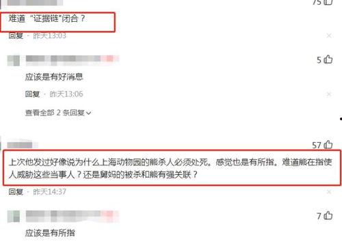 二八最新爆料消息视频播放,揭秘视频播放背后的惊人真相