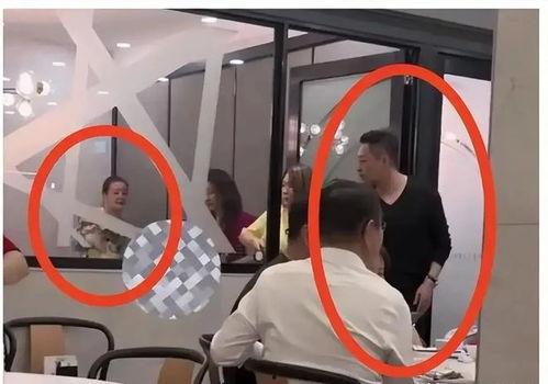 张莹莹最新爆料视频播放,事件真相再引热议